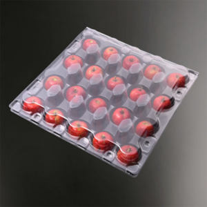 Haustier Transparent Plastik Clamshell Fruchtverpackungsschachtel klarer Obstbehälter