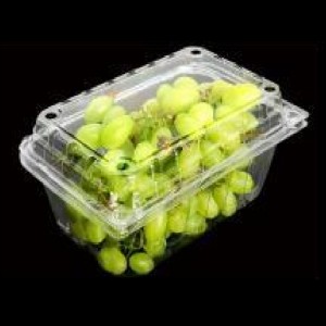 Obstbox mit Deckel 185*120*85 mm Hgf-500c